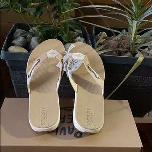Sperry Ladies seabrook sandal